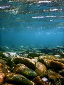 Wild Swimming Testing