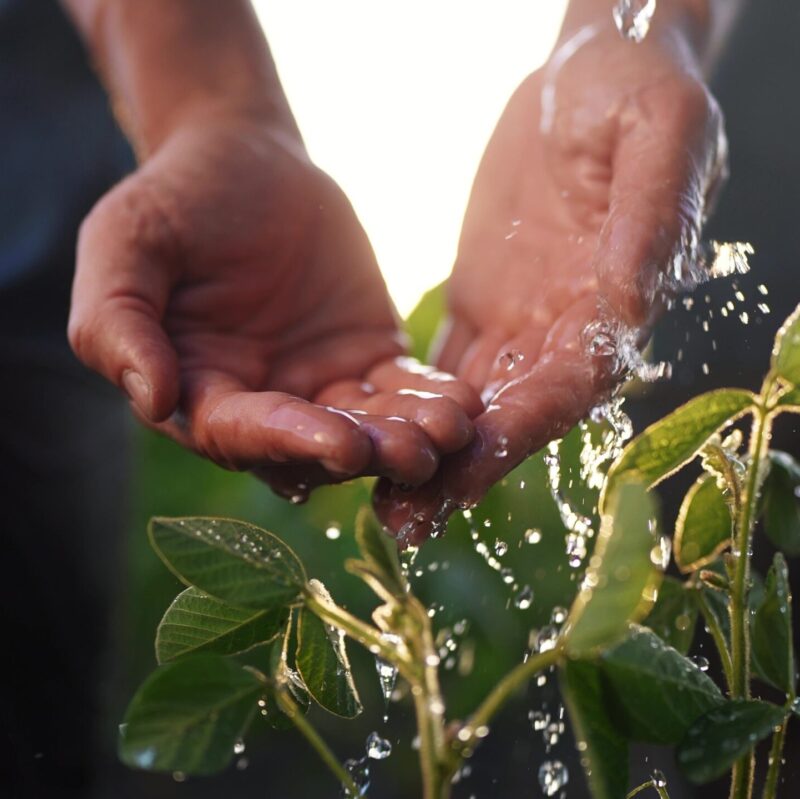 Red Tractor Water Test